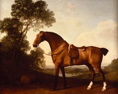 A Saddled Bay Hunter George Stubbs